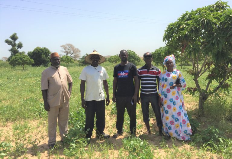 PROGRAMME D’APPUI A L’ELEVAGE DU PROJET « DUND AK KEEW BI »