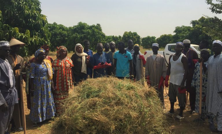 FORMATION PRATIQUE SUR LES TECHNIQUES DE RÉCOLTE ET DE CONSERVATION DU FOURRAGE DANS LA COMMUNE DE TASSETTE 